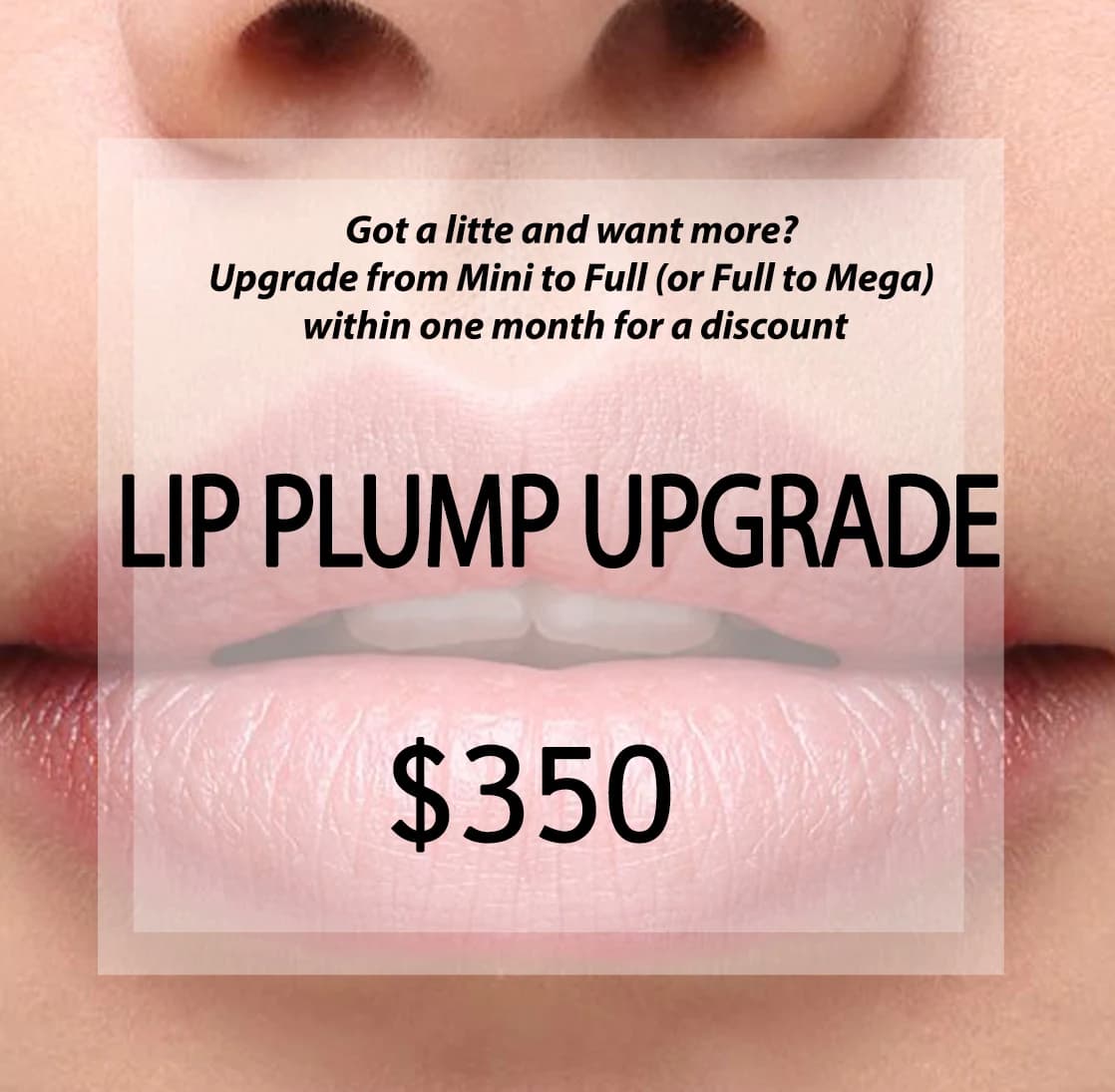 Lip Plump Upgrade product graphic.